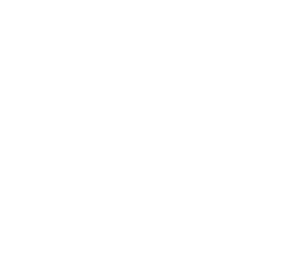 RevBound